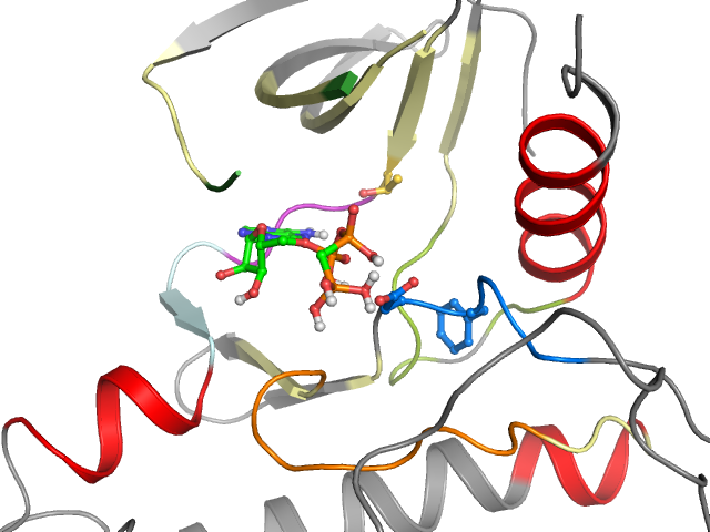 The orthosteric binding pocket