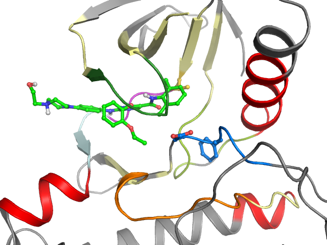 The orthosteric binding pocket