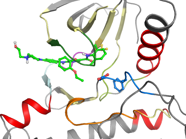 The orthosteric binding pocket