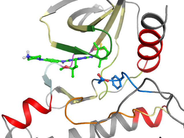 The orthosteric binding pocket
