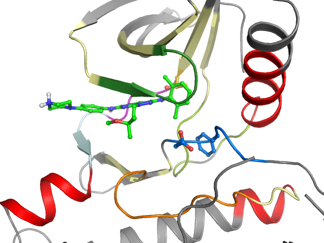 The orthosteric binding pocket