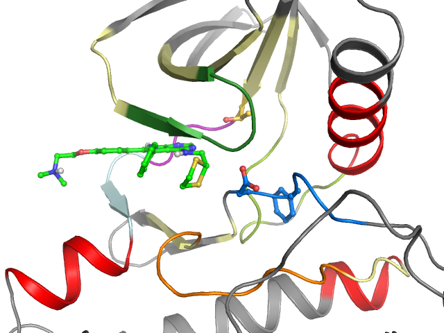 The orthosteric binding pocket