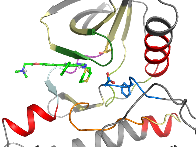 The orthosteric binding pocket