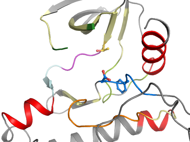The orthosteric binding pocket