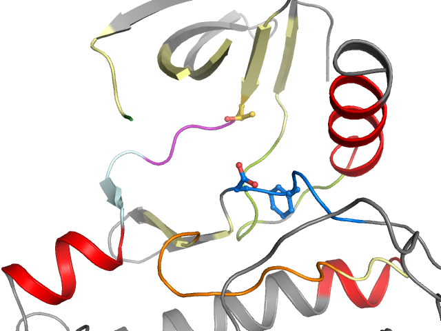 The orthosteric binding pocket