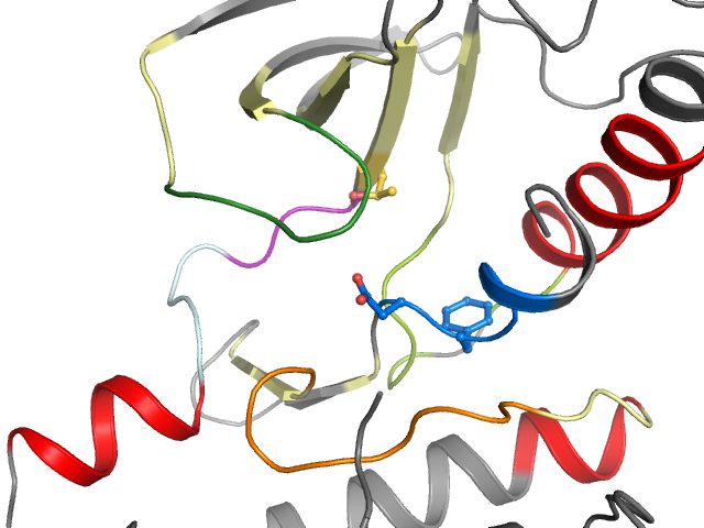 The orthosteric binding pocket