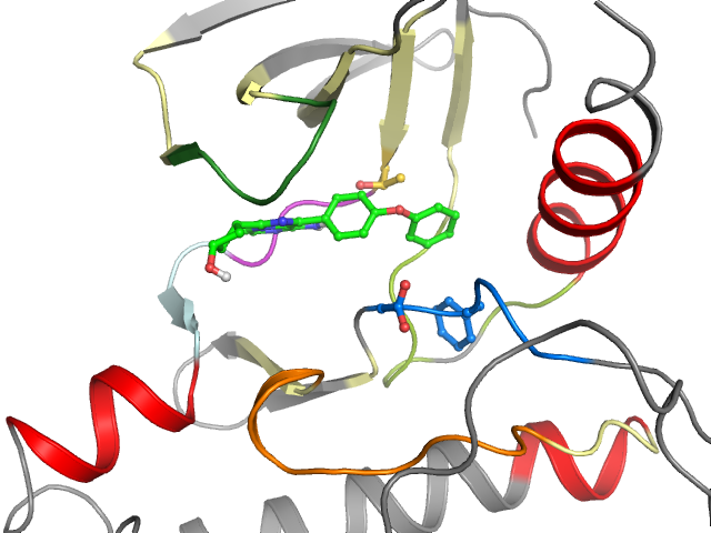 The orthosteric binding pocket