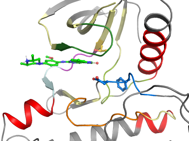 The orthosteric binding pocket