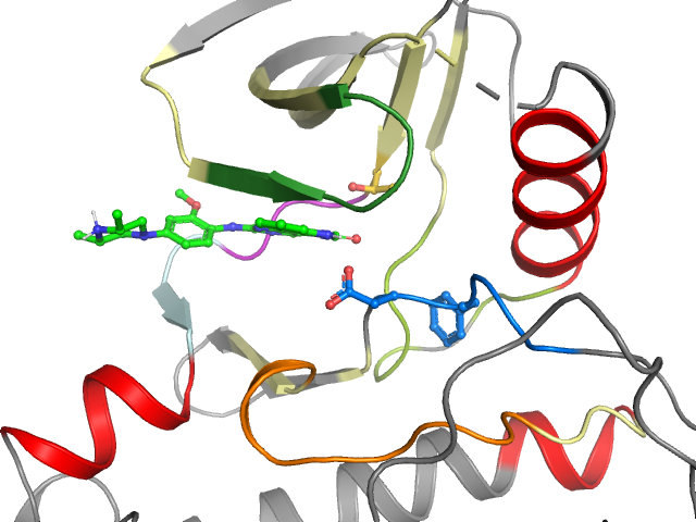 The orthosteric binding pocket