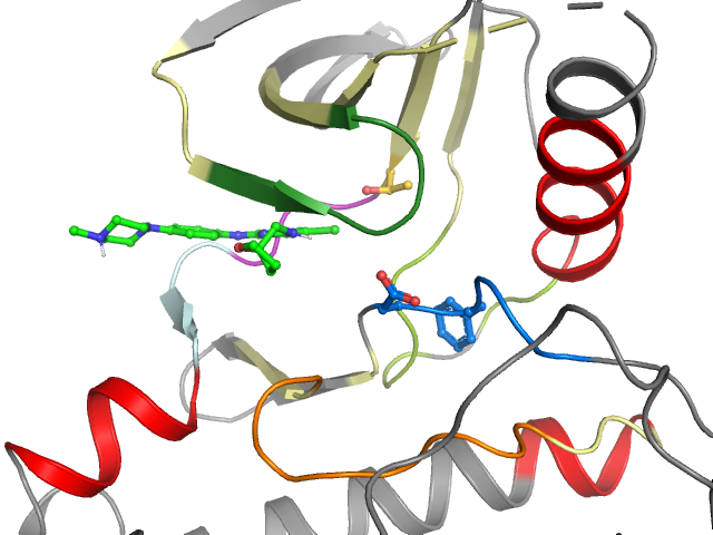 The orthosteric binding pocket