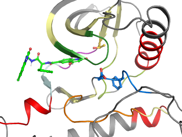 The orthosteric binding pocket