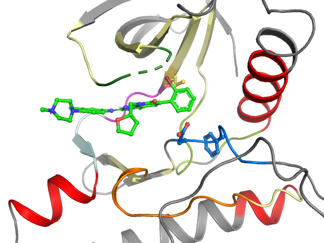The orthosteric binding pocket