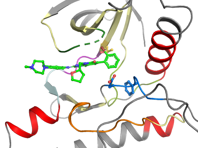 The orthosteric binding pocket