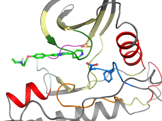 The orthosteric binding pocket