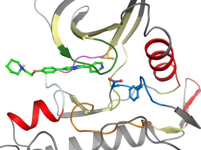 The orthosteric binding pocket