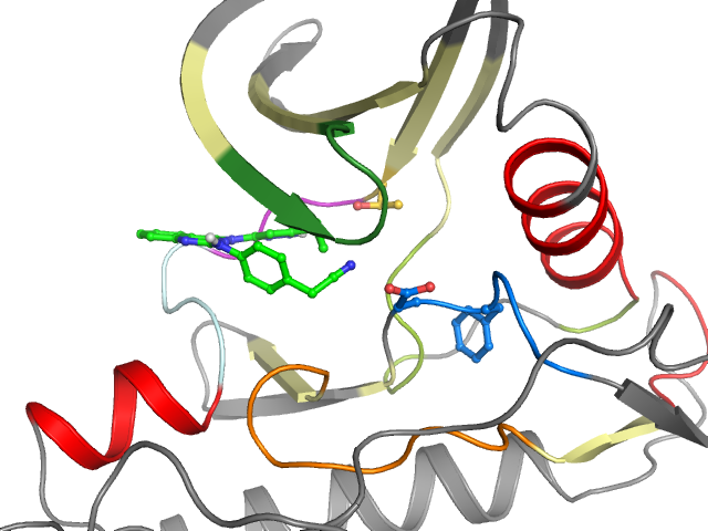 The orthosteric binding pocket