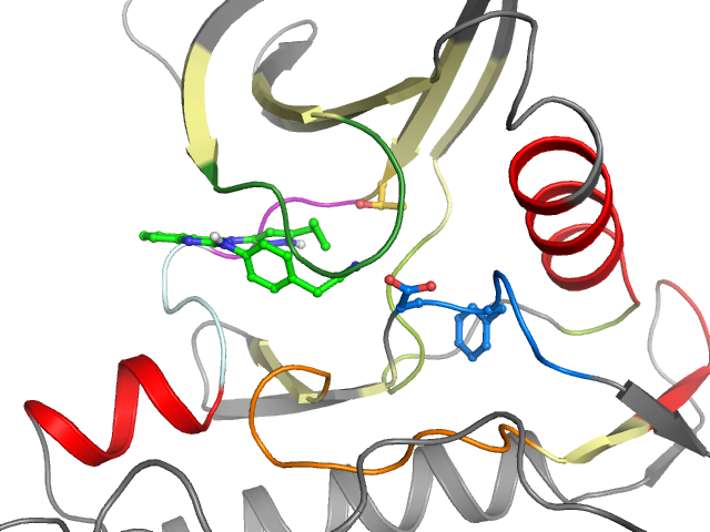 The orthosteric binding pocket