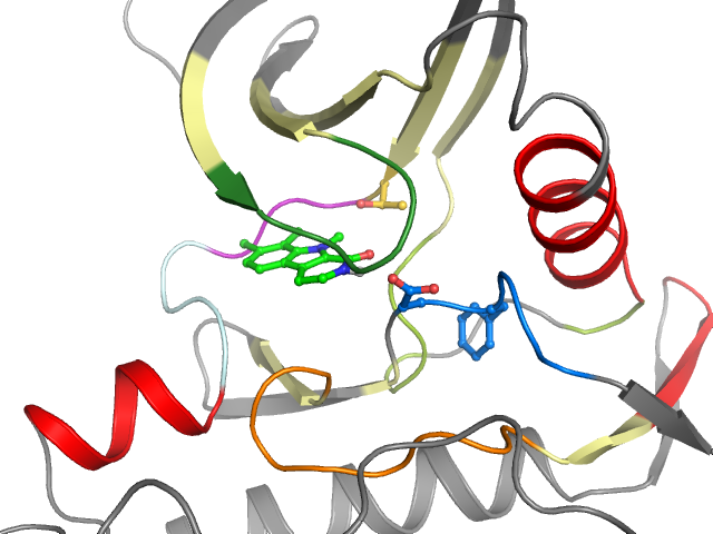 The orthosteric binding pocket