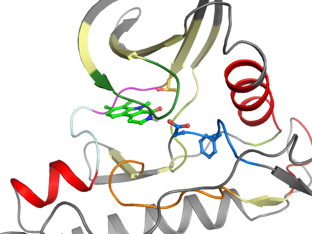 The orthosteric binding pocket