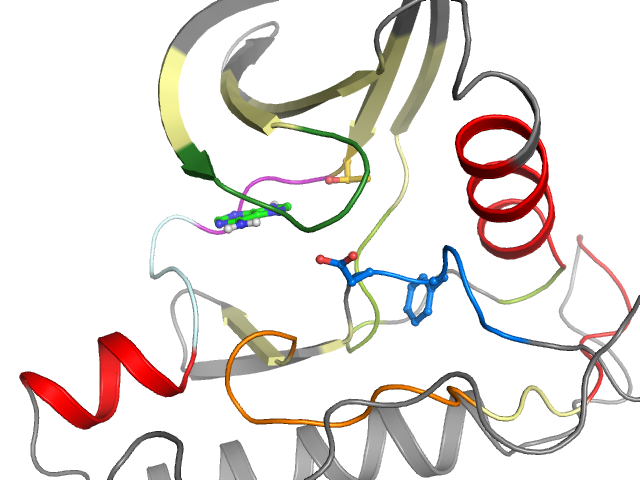 The orthosteric binding pocket