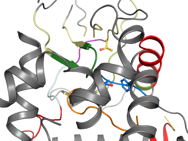 The orthosteric binding pocket