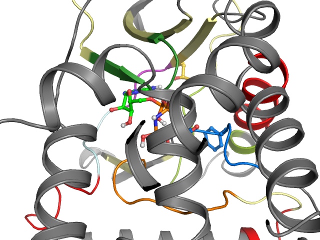 The orthosteric binding pocket
