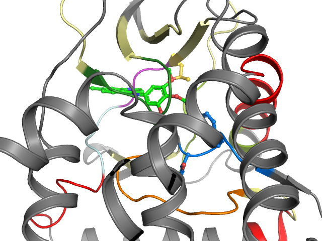 The orthosteric binding pocket