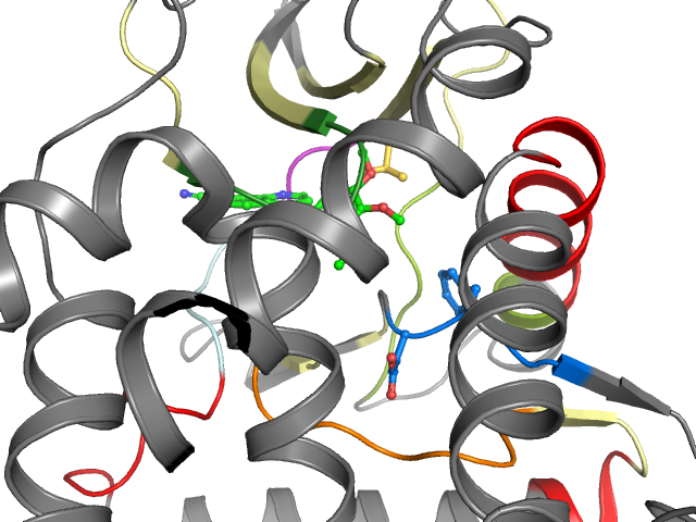 The orthosteric binding pocket