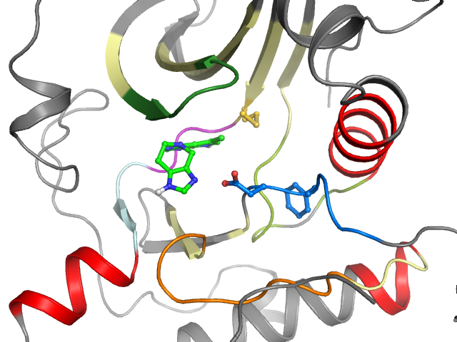 The orthosteric binding pocket
