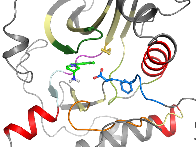 The orthosteric binding pocket