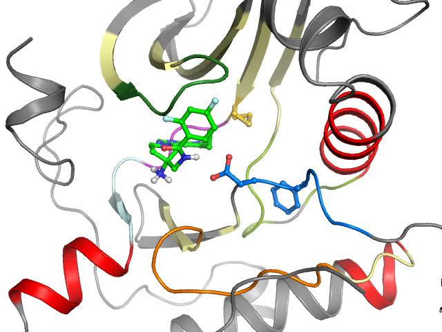 The orthosteric binding pocket