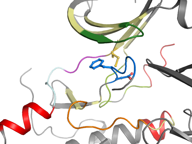 The orthosteric binding pocket
