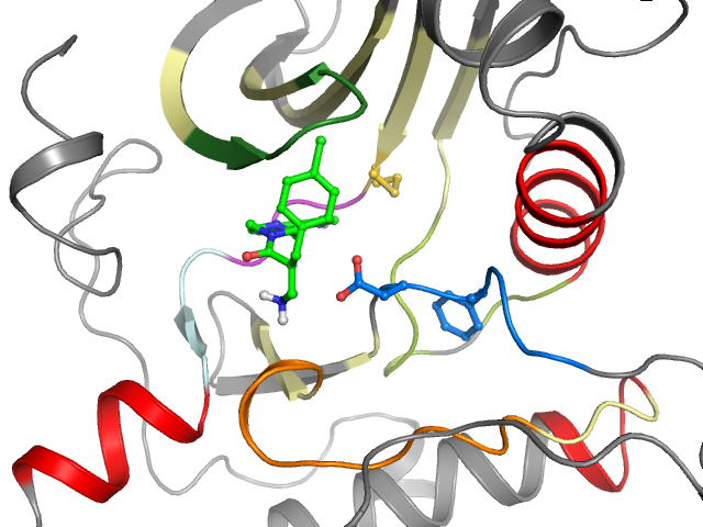 The orthosteric binding pocket