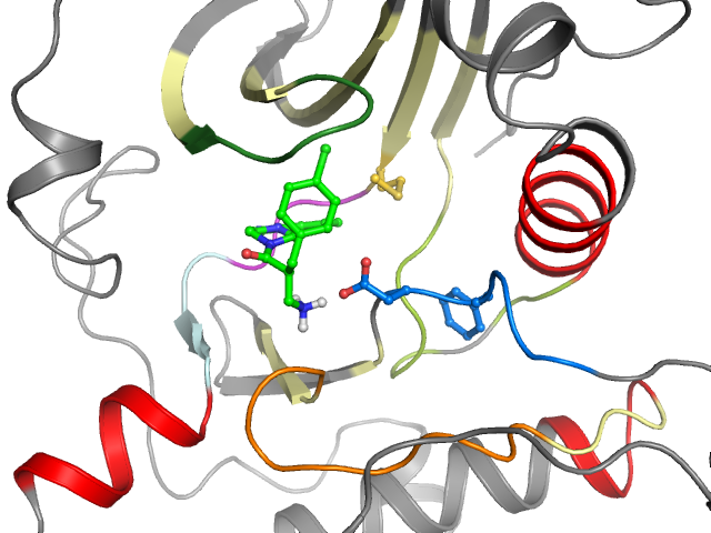 The orthosteric binding pocket