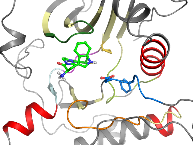 The orthosteric binding pocket