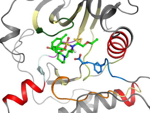 The orthosteric binding pocket