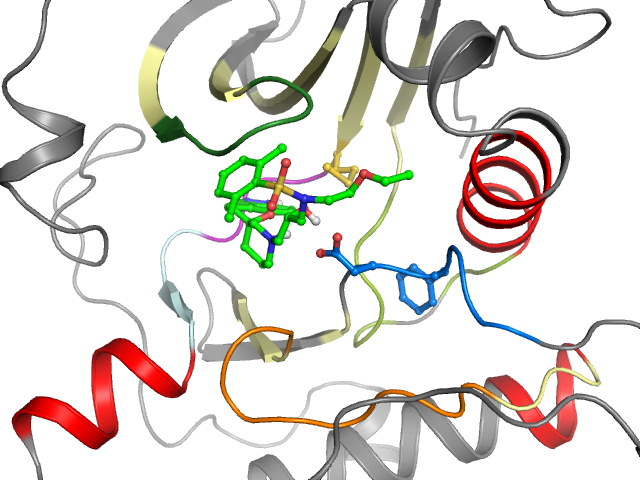 The orthosteric binding pocket