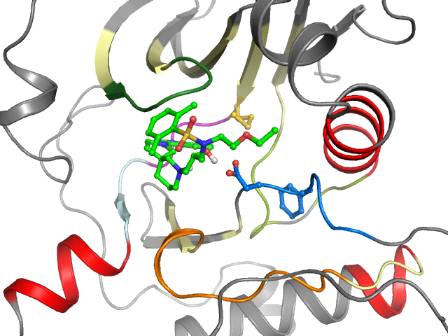 The orthosteric binding pocket