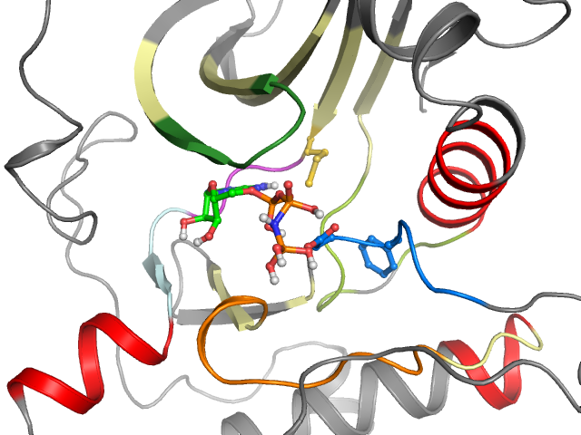 The orthosteric binding pocket