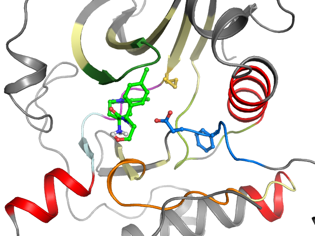 The orthosteric binding pocket