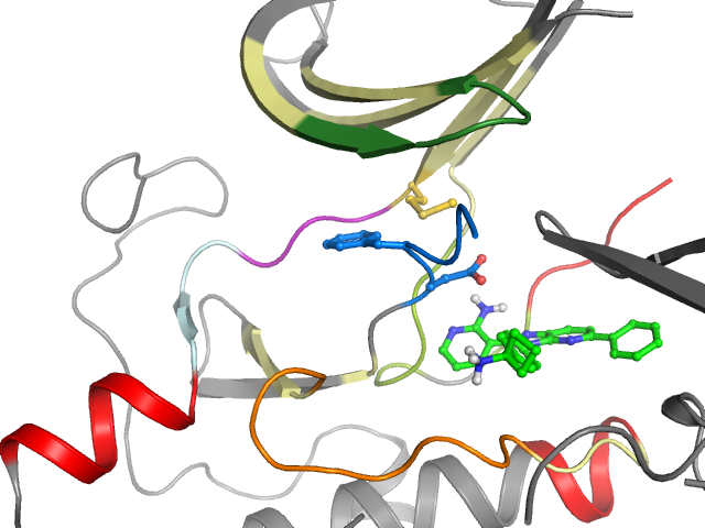 The orthosteric binding pocket