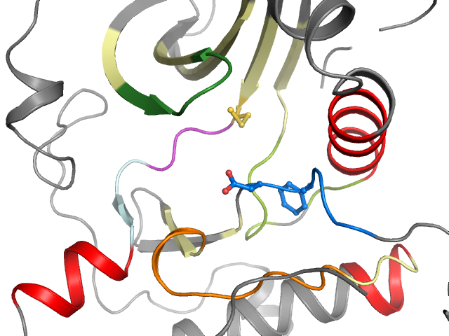 The orthosteric binding pocket