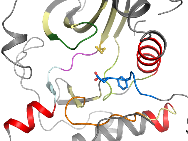 The orthosteric binding pocket