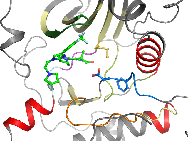 The orthosteric binding pocket