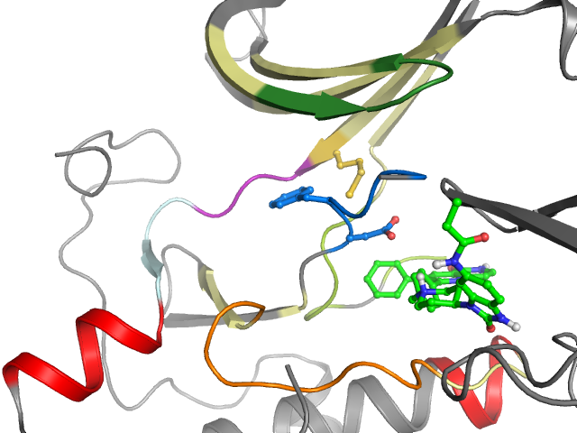 The orthosteric binding pocket