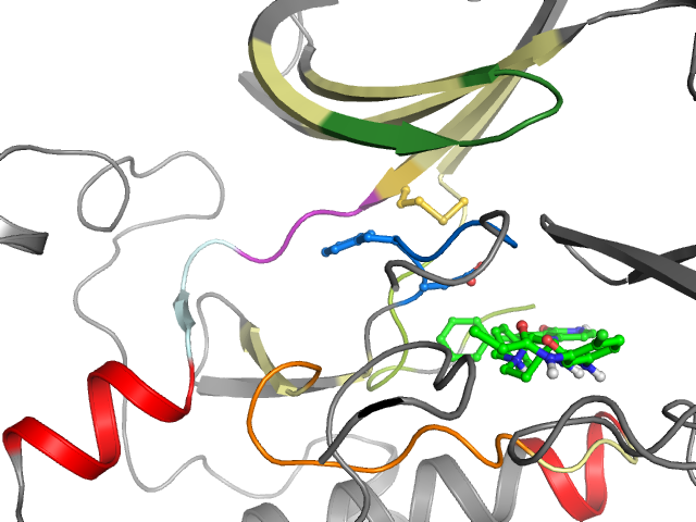 The orthosteric binding pocket