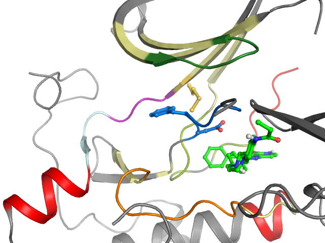 The orthosteric binding pocket