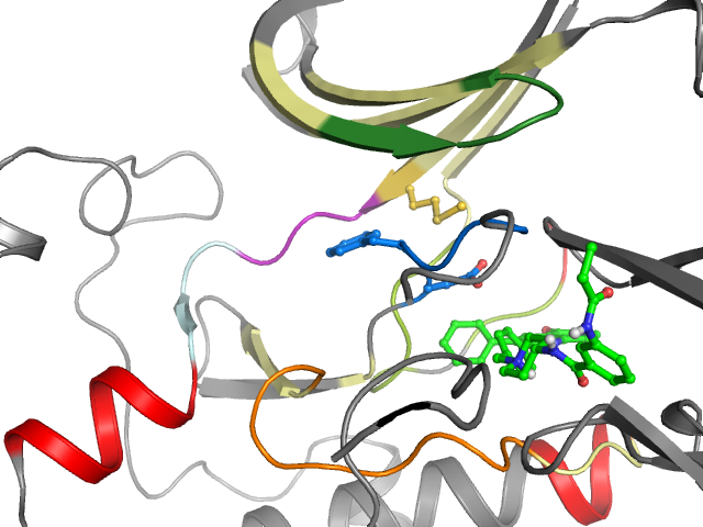 The orthosteric binding pocket
