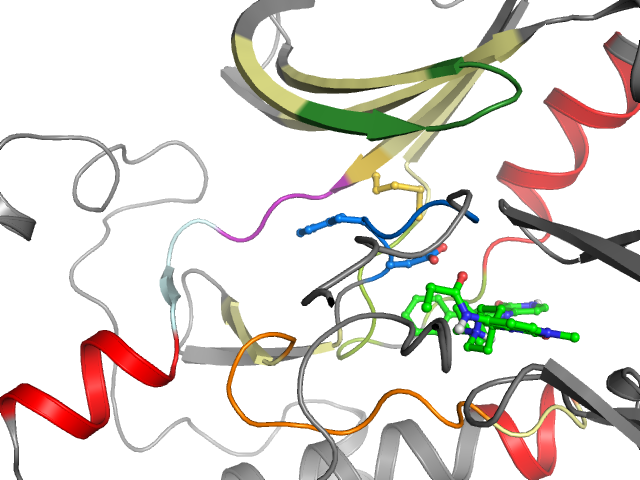 The orthosteric binding pocket