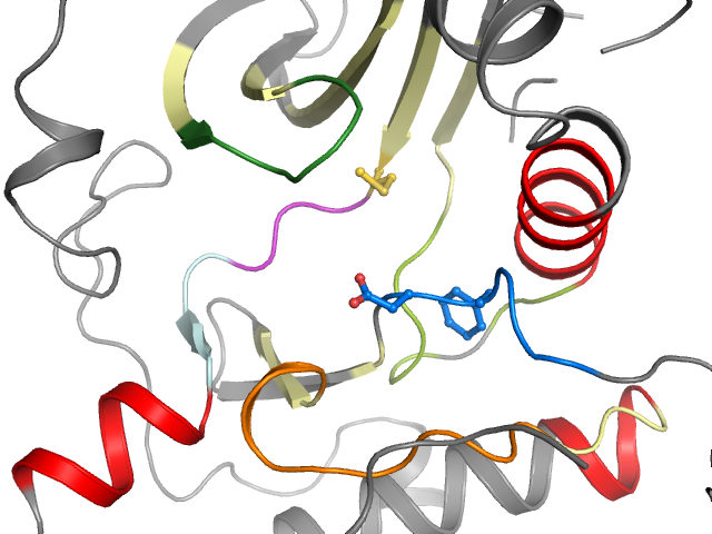 The orthosteric binding pocket